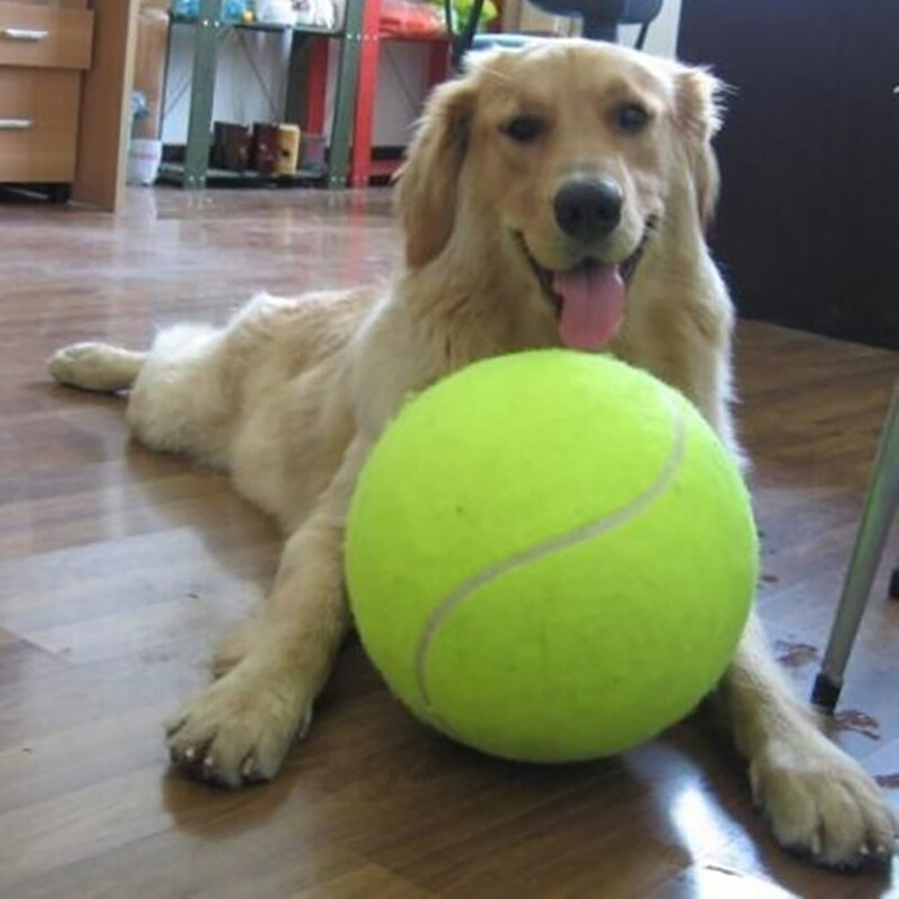 Giant Tennis Ball Dog Interactive Toys