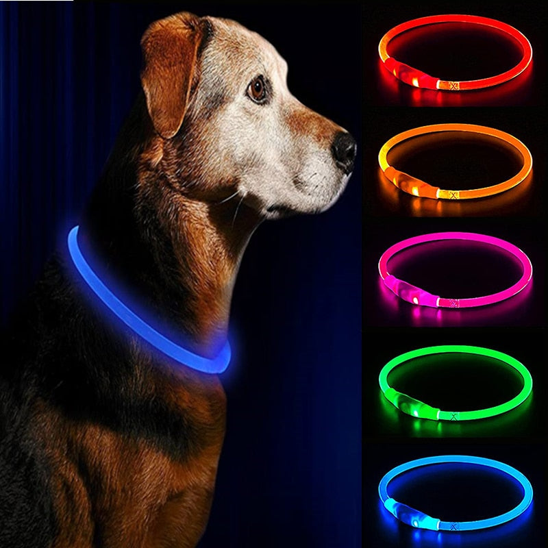 Led Usb Dog Collar Flashing