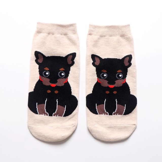 Cartoon Kawaii Animal Women Socks