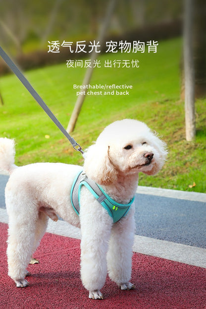 Dog Harness Leash Set Lead Leash