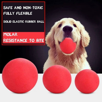 Indestructible Solid Rubber Ball Training