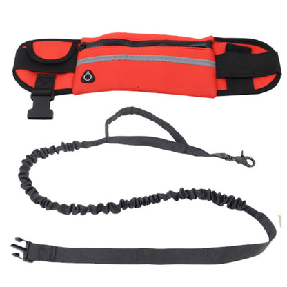 Large Capacity Dog Training Waist Bag