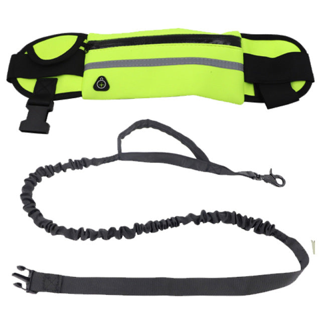 Large Capacity Dog Training Waist Bag