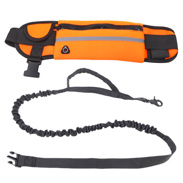 Large Capacity Dog Training Waist Bag