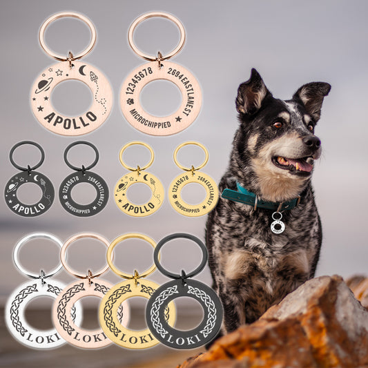 Personalized ID Tag Dog Collar