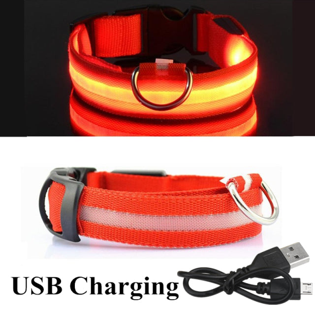 LED Glowing Dog Collar Rechargeable