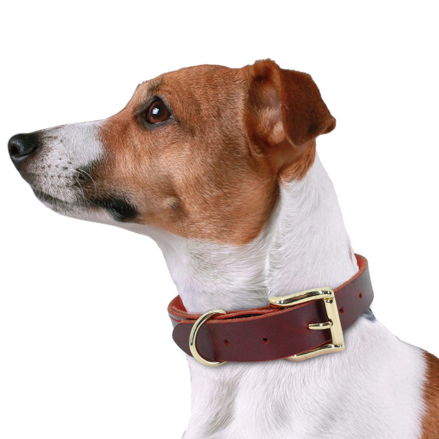 Genuine Leather Dog Collar Durable Real