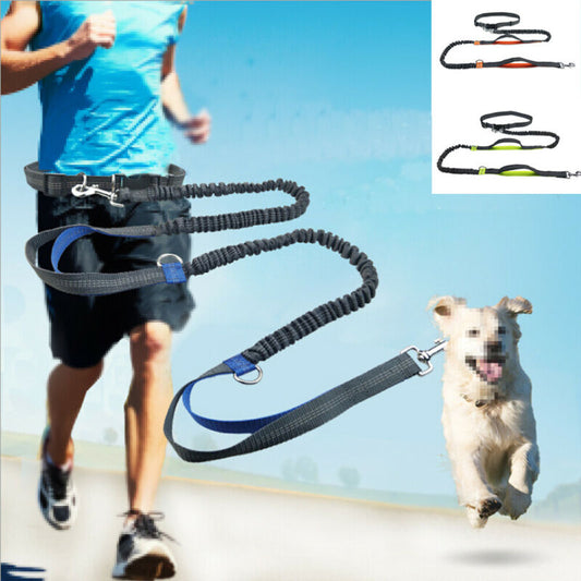 Reflective Leash Traction Rope