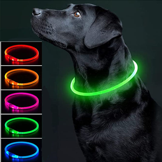 Led Charge Luminous Dog Collar
