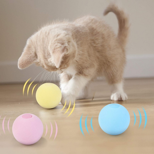 Interactive Ball Dog Training Toy Playing Ball