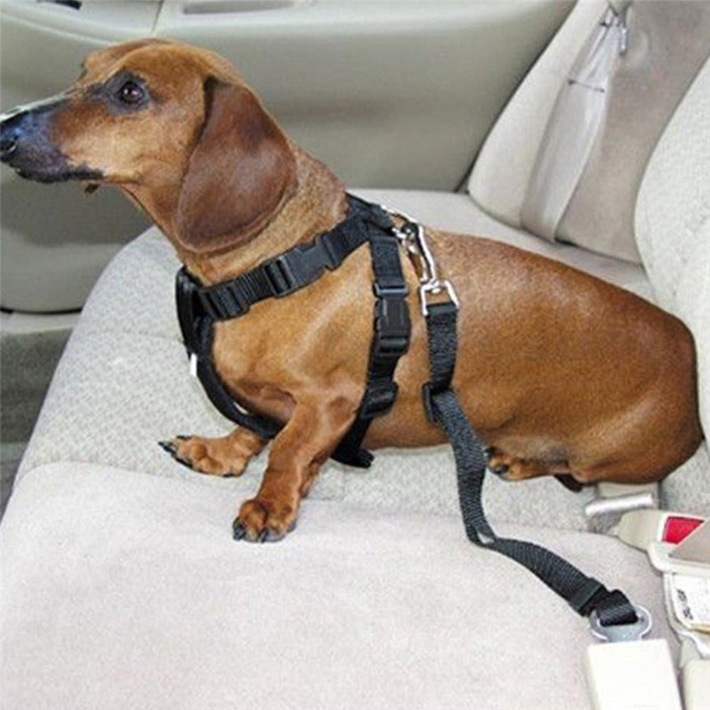 Dog Car Seat Belt Adjustable Harness Lead Leash Safety Leash Car