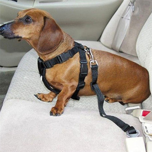 Dog Car Seat Belt Adjustable Harness Lead Leash Safety Leash Car