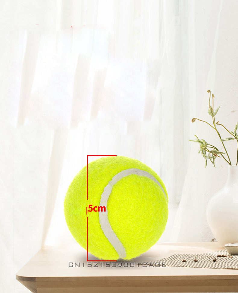Tennis Launcher Throwing Machine Pet Ball