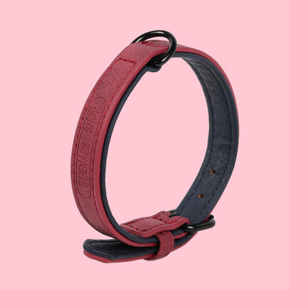 Big Dog PU Leather Collar Outdoor Products