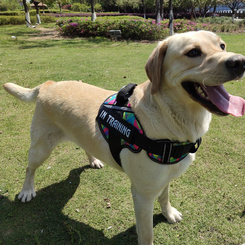 New Style Large Dog Harness Vest Reflective