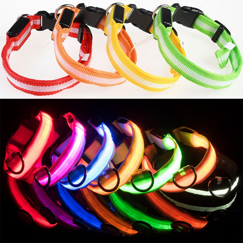 Luminous Dog Glowing Collar Training Walking Safety Supplies
