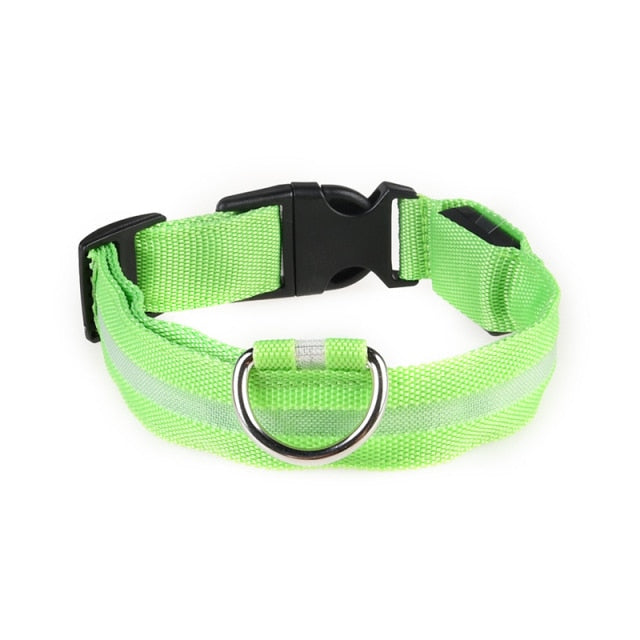 Luminous Dog Glowing Collar Training Walking Safety Supplies
