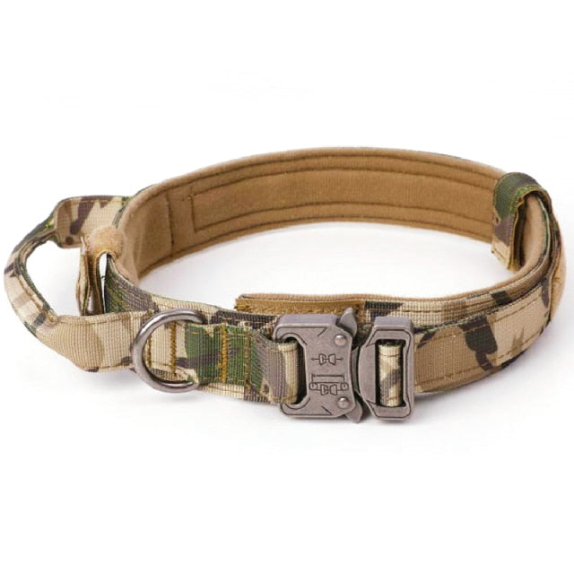 Tactical Dog Collar Leash Training