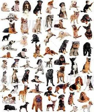 Canvas Painting Wall Dogs and Names