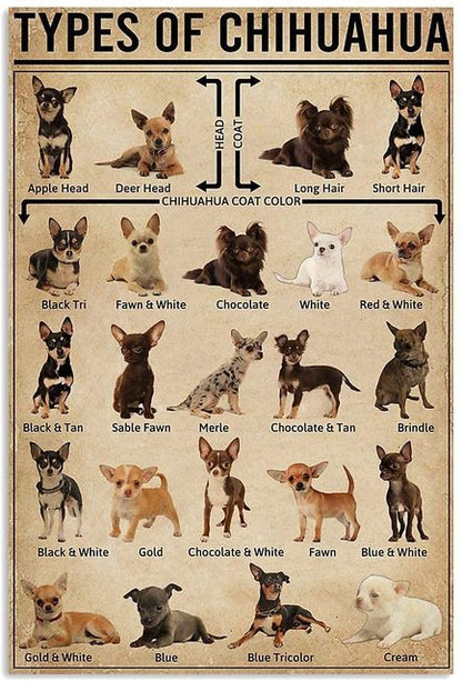 Chihuahua Dog Sign Cartoon Kids Home Decor