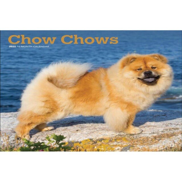 Poster Custom Chow DOG Canvas