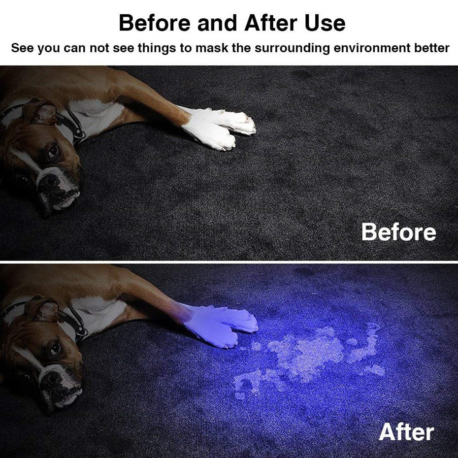 Lamp UV Flashlight Light Test Pet Skin