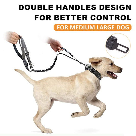 Multifunction Dog Elasticity Leash