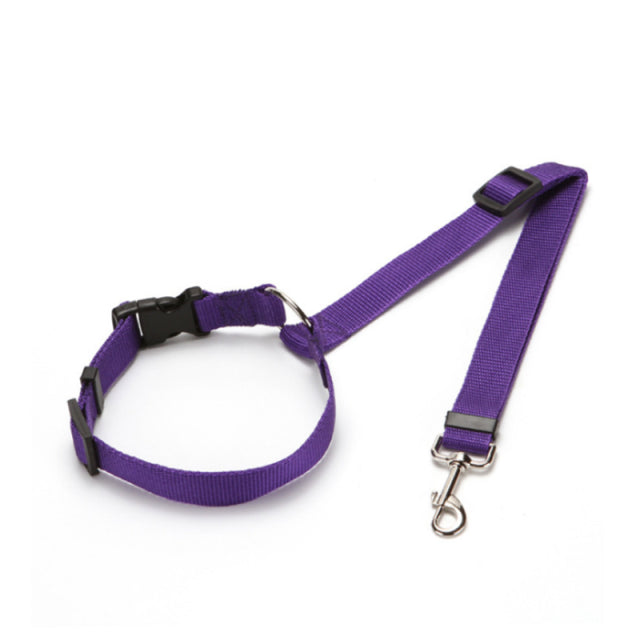 Universal Practical Dog Safety Belt