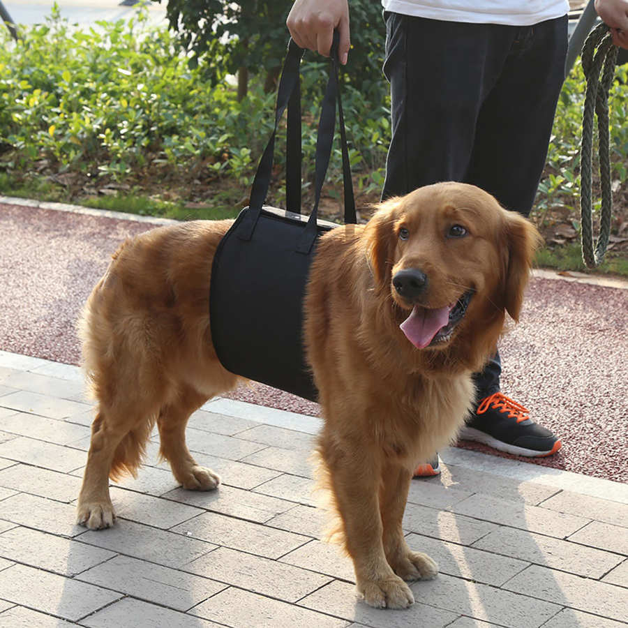 Black Polyester Dog Lift Support
