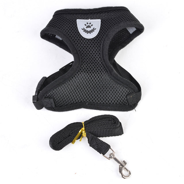 Dog Harness And Leash Safety Chest Strap