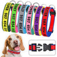 Embroidered Dog Collar Fashion Personalized