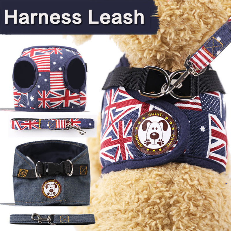 Dog Collars And Harnesses Vest Leash Set