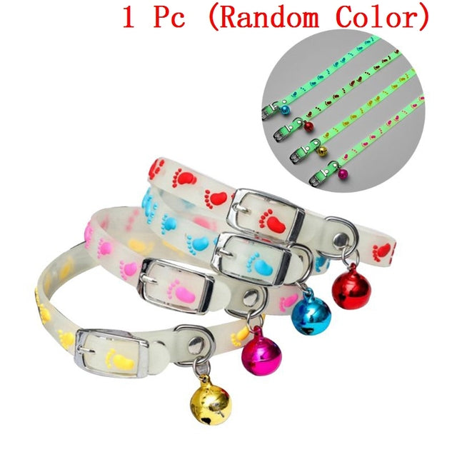 Glowing Collars with Bells