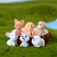 1 Pcs Bear Dog Figurine Miniatures Home Decor