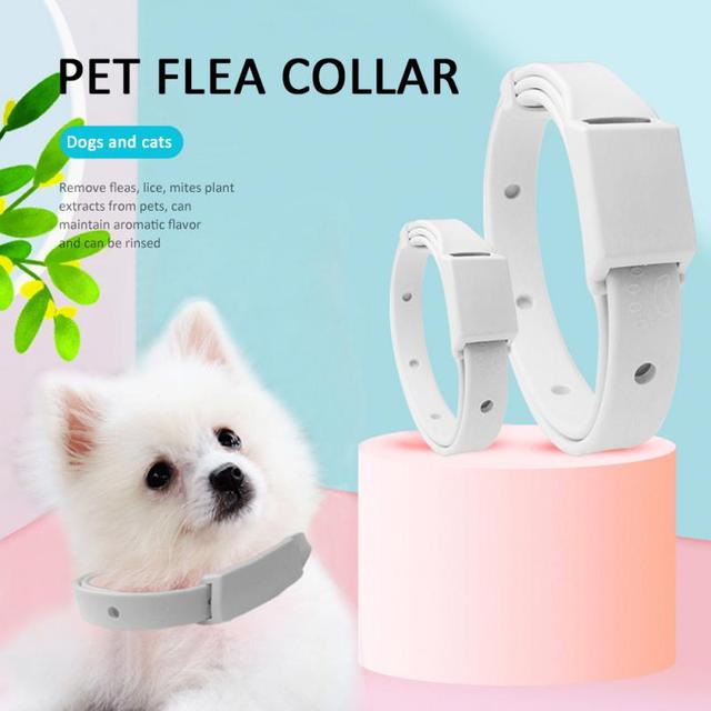Dog or Cat Collar  Flea Tick Prevention Collar