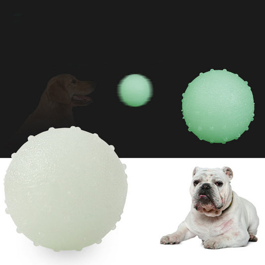 Training Attract ball Entertain Dog Play Chewing