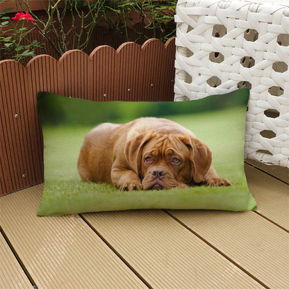 Cute Animals Dog Print Decorative